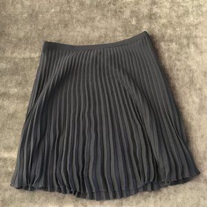 Garnel Hill Pleated Chiffon Skirt